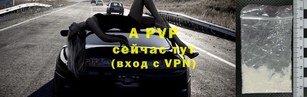 мяу мяу мука Горно-Алтайск
