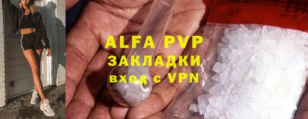 сатива Горняк