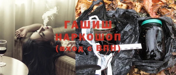сатива Горняк