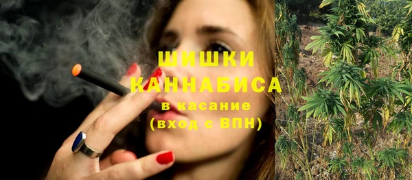 сатива Горняк