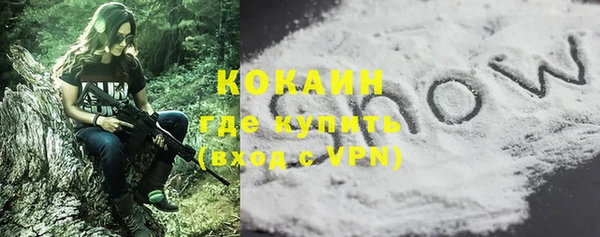 сатива Горняк