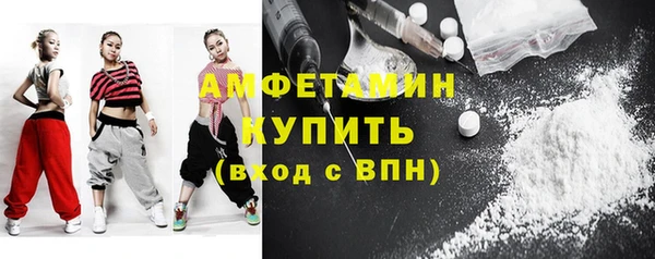 сатива Горняк