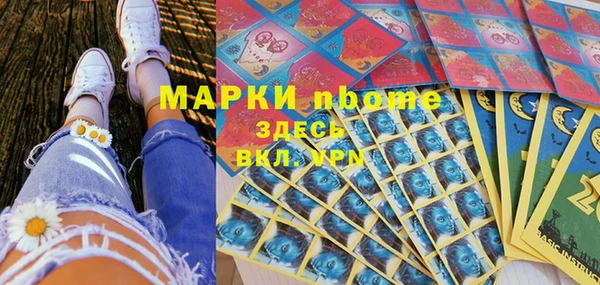 сатива Горняк