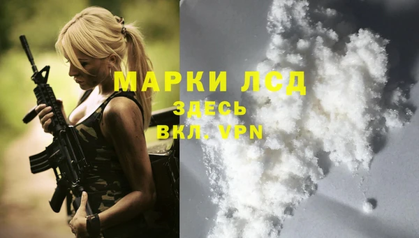 сатива Горняк