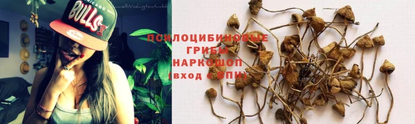 мяу мяу мука Горно-Алтайск