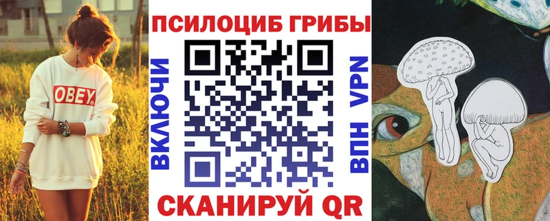 Галлюциногенные грибы MAGIC MUSHROOMS  Дивногорск 